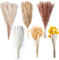 Dried pampas grass bouquet 100 pcs in a vase