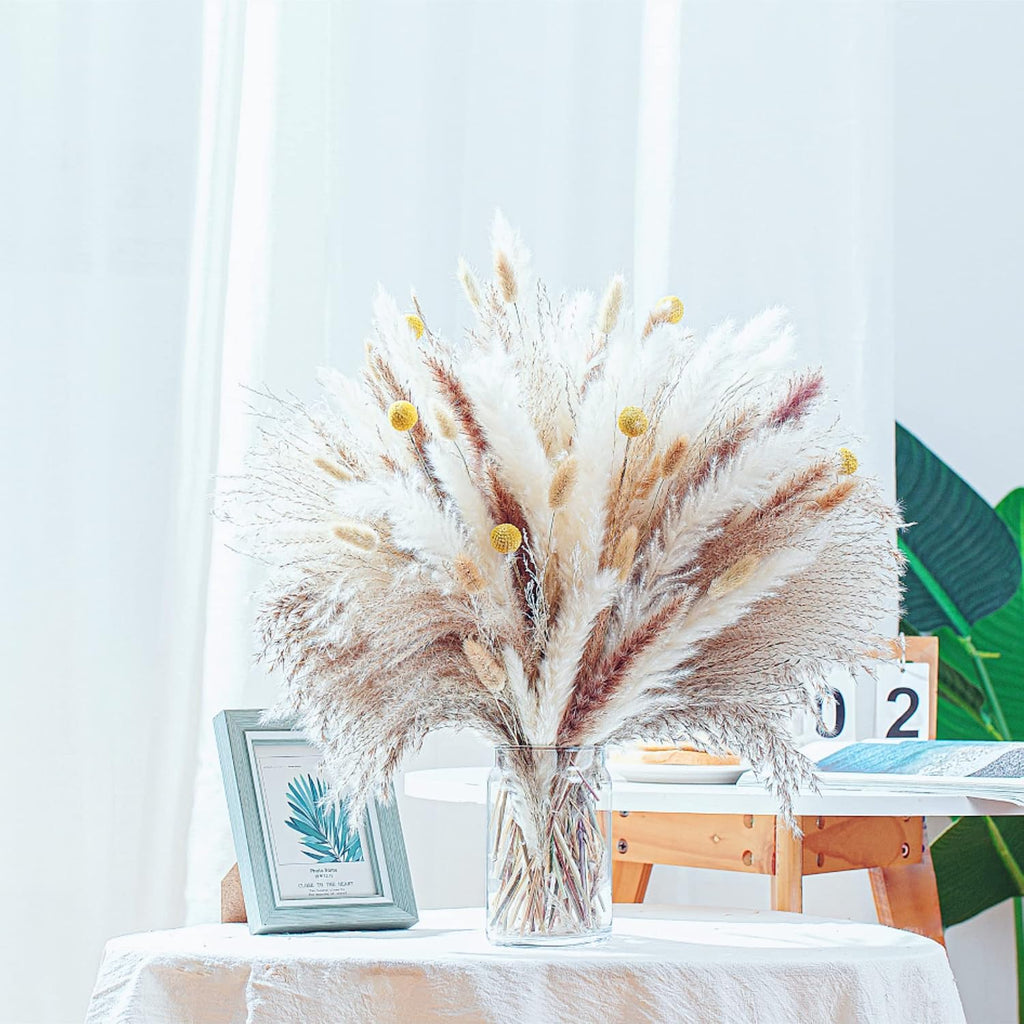 17.5 inch dried pampas grass size view