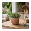 Porshmarks Textured Raised-Dot Ceramic Planter, 6 in