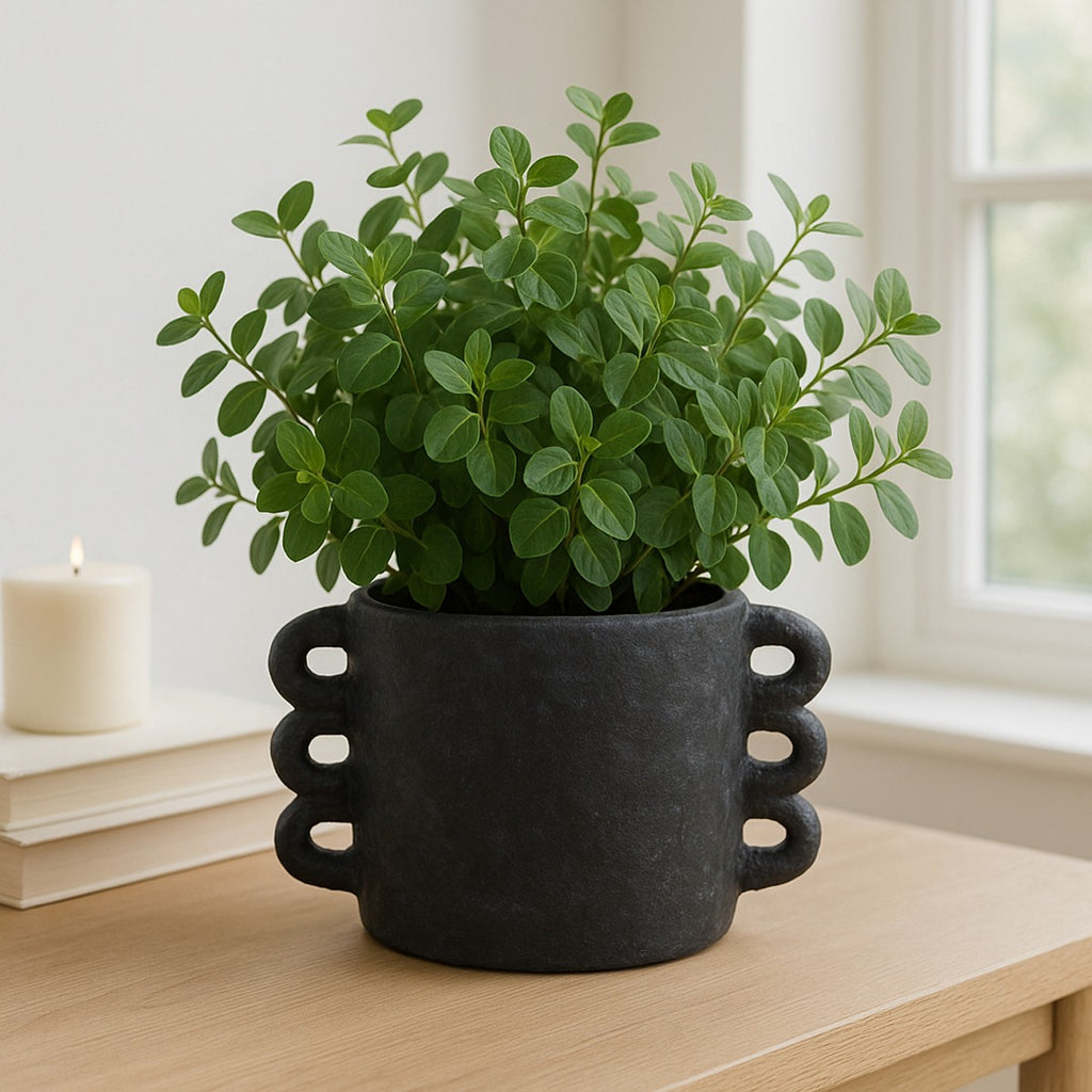 Porshmarks Arch Handle Ceramic Planter – Black, 7 in