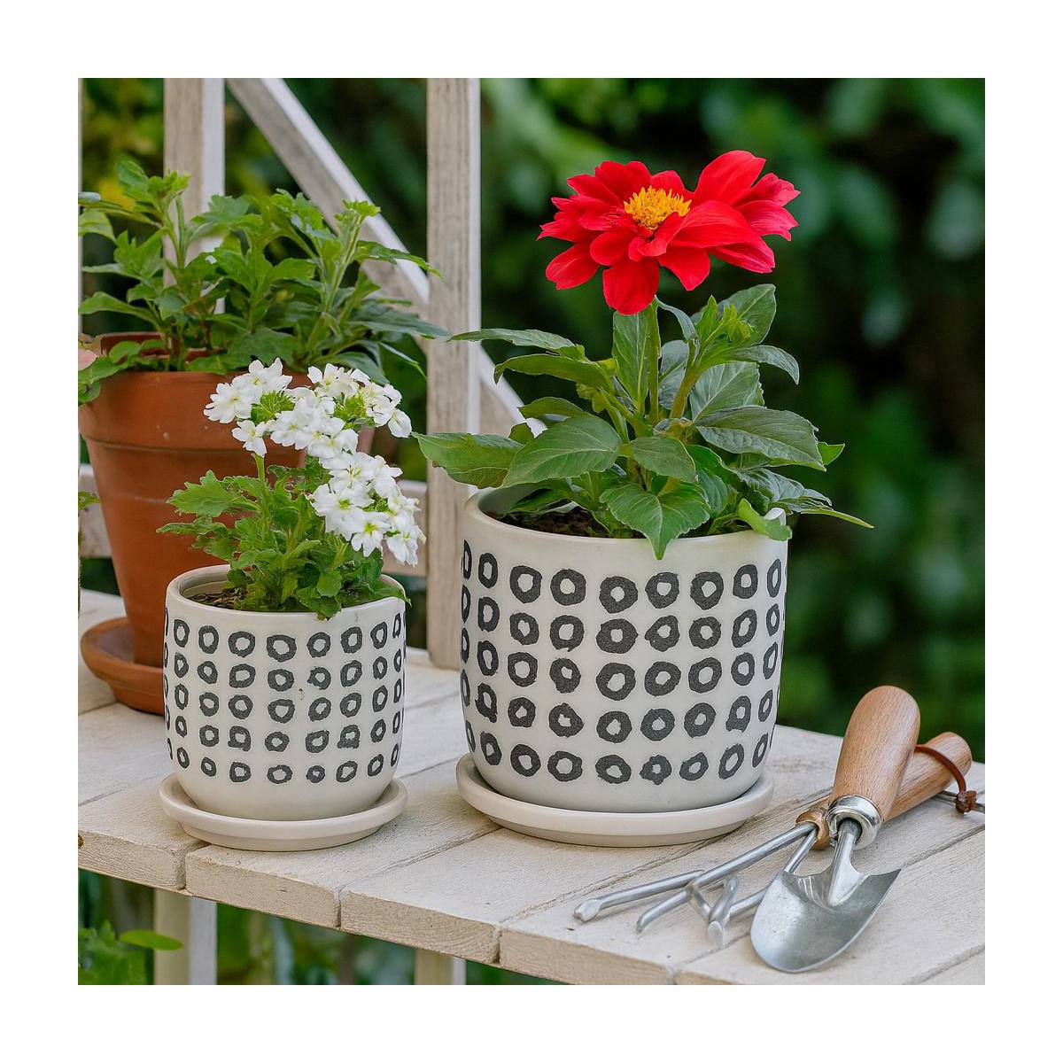 Porshmarks Black & White Patterned Ceramic Planters with Saucers, Set of 2